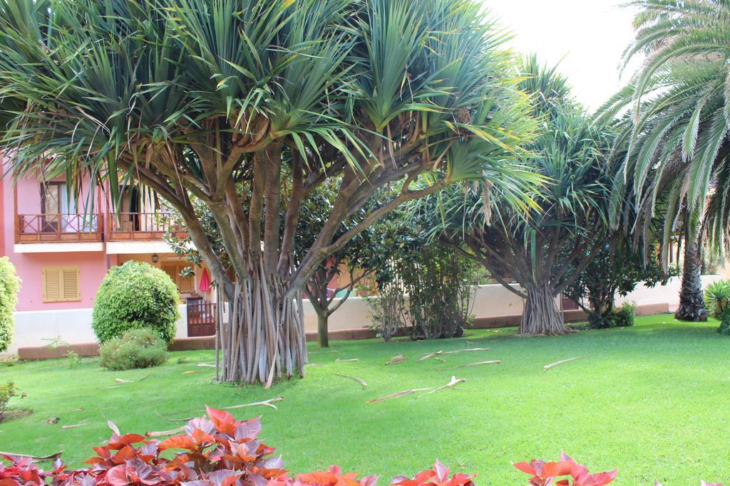 Vivienda Vacacional Los Balconcitos Los Cancajos Ngoại thất bức ảnh